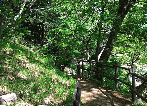 気分転換「ウォーキング」