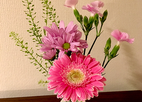 気分転換「花や観葉植物」